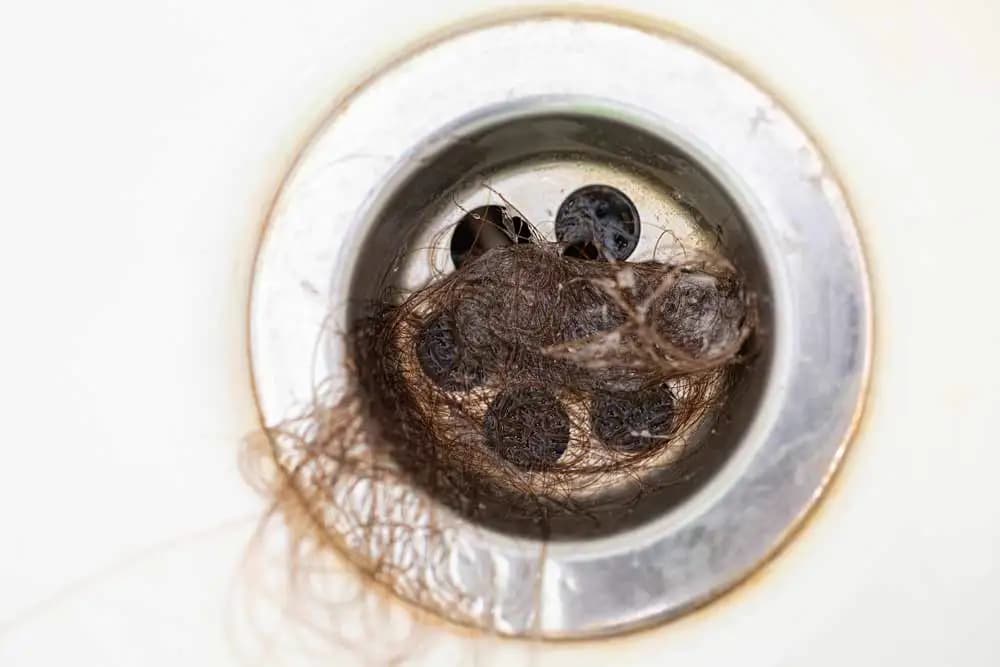 Clogged drain with hair buildup