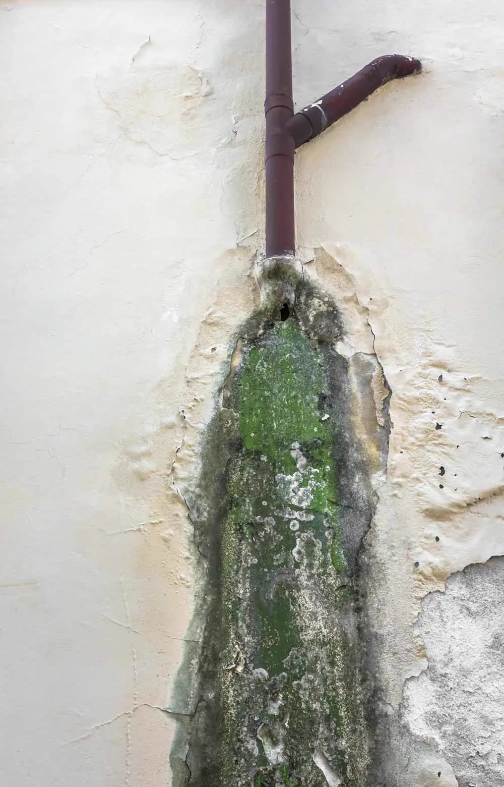 Water leak causing wall damage