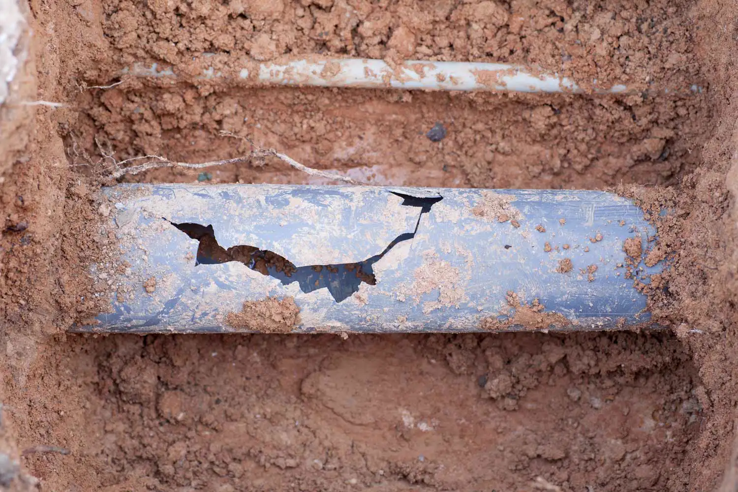 Professional sewer line replacement